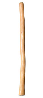 Medium Size Natural Finish Didgeridoo (TW1600)